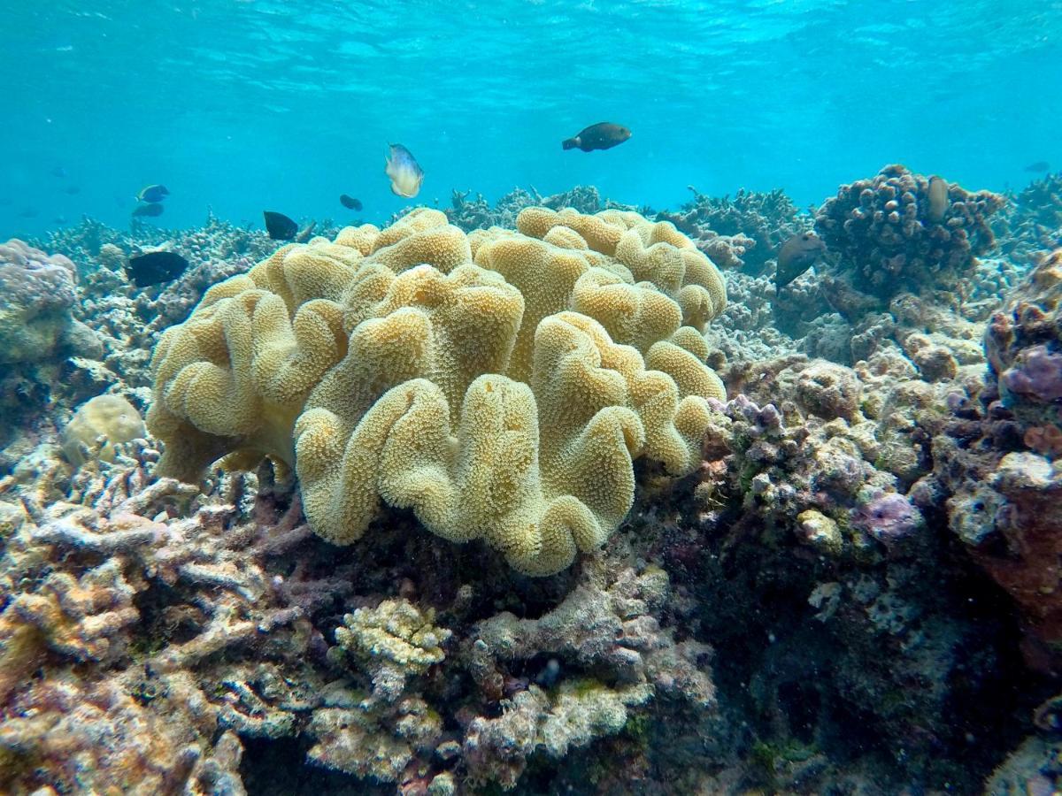 Atoll Residence دانجيثي المظهر الخارجي الصورة